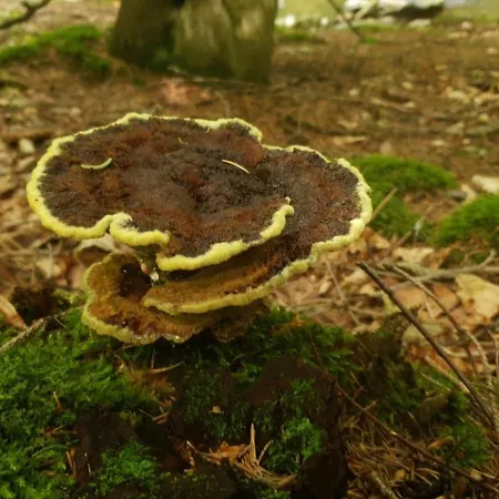 Apartmán Somewhere Between *