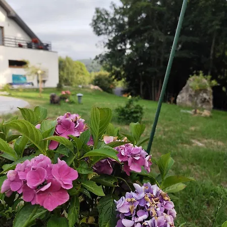 Somewhere Between Apartmán