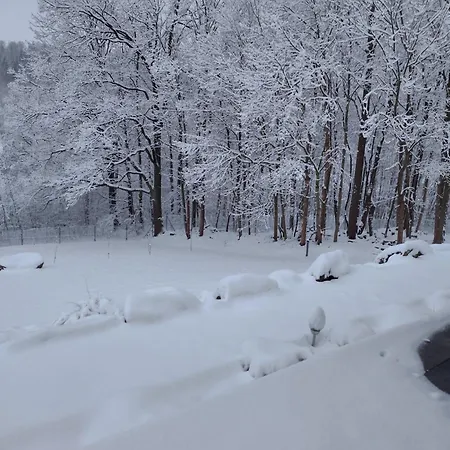 Somewhere Between Apartmán *