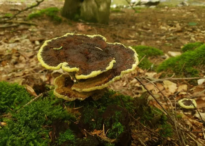 Lägenhet Somewhere Between *