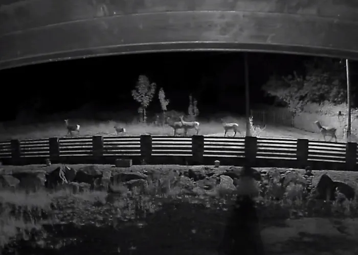 Lägenhet Somewhere Between *