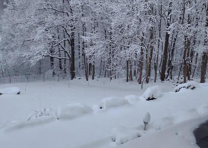 Somewhere Between شقة *